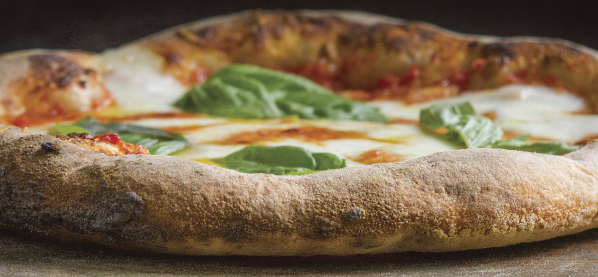 9781607748380_1200x1200.png?v=