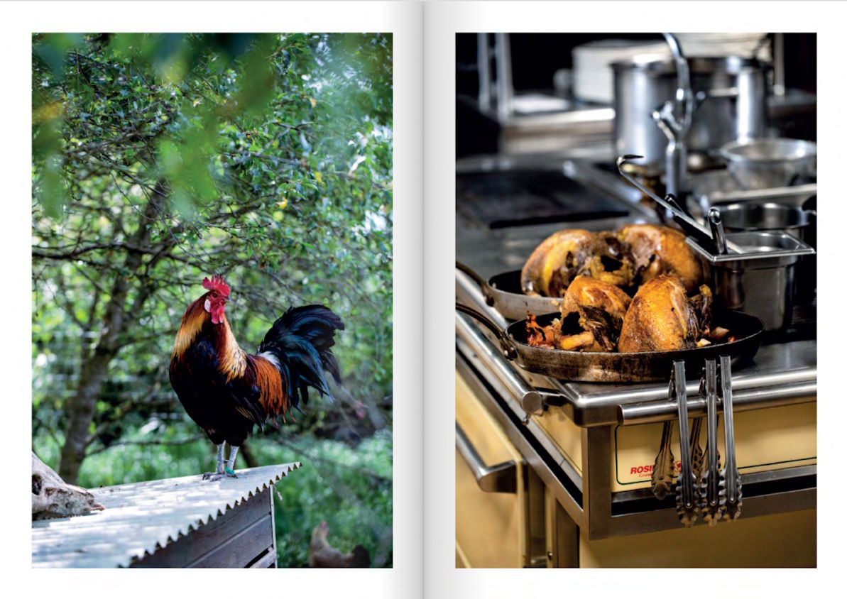 La Ferme de la Ruchotte: Fred Menager – Kitchen Arts & Letters