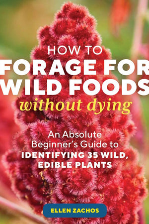 Book Cover: How to Forage for Wild Foods without Dying