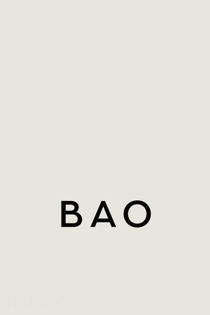 Book Cover: Bao