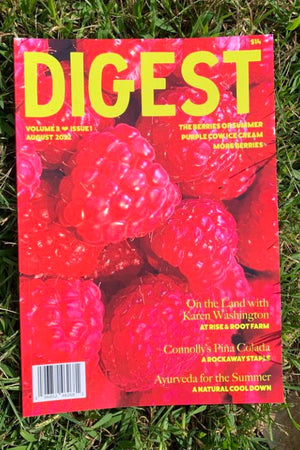Book Cover: Digest Magazine: Volume 3, Issue 1