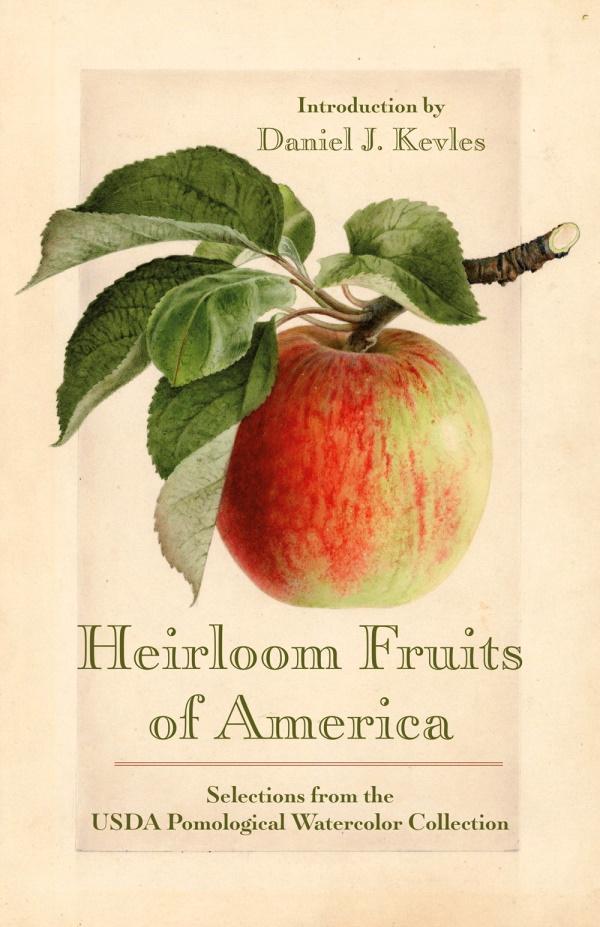 Book Cover: Heirloom Fruits of America