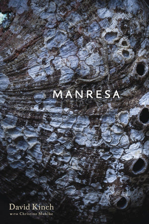 Book Cover: Manresa