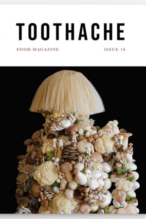 Book Cover: Toothache Magazine #10