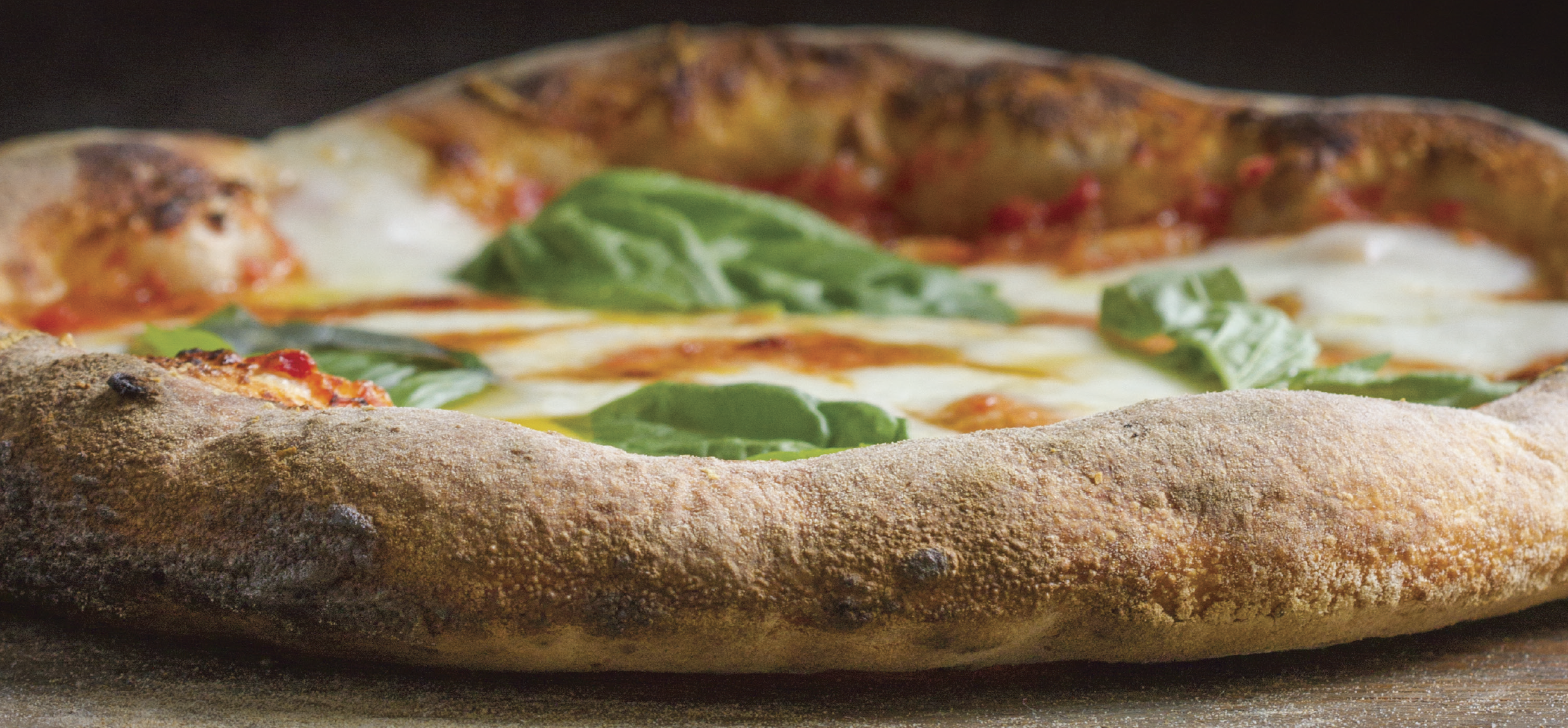 Books on Pizza for Professionals | Kitchen Arts & Letters