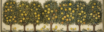 Lemon Trees in a row
