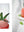 presentation image