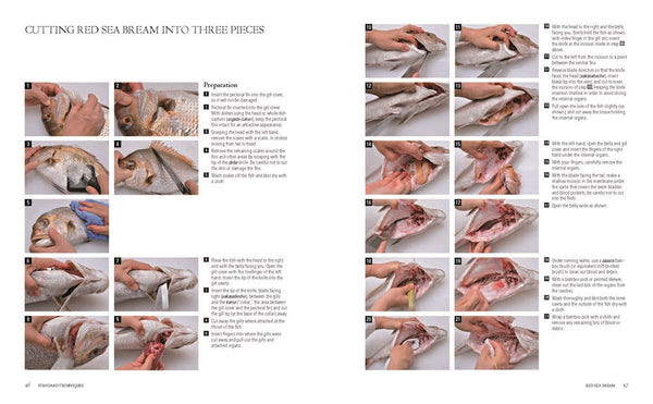 Presentation Image