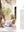 presentation image