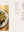 presentation image