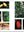 presentation image