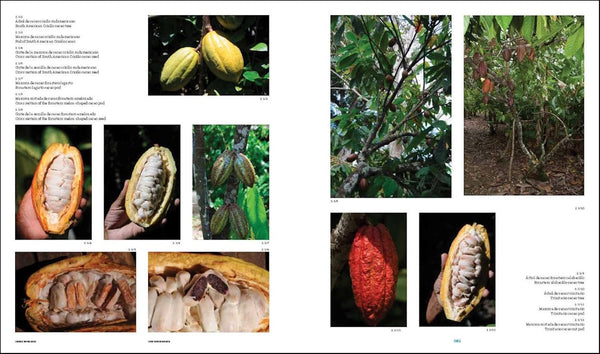 presentation image