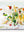 presentation image