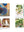 presentation image