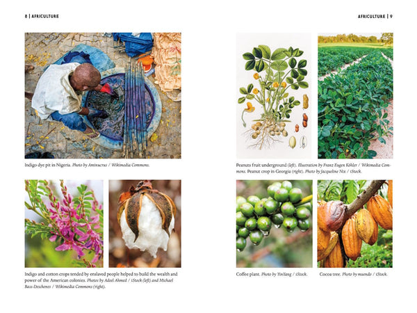 presentation image