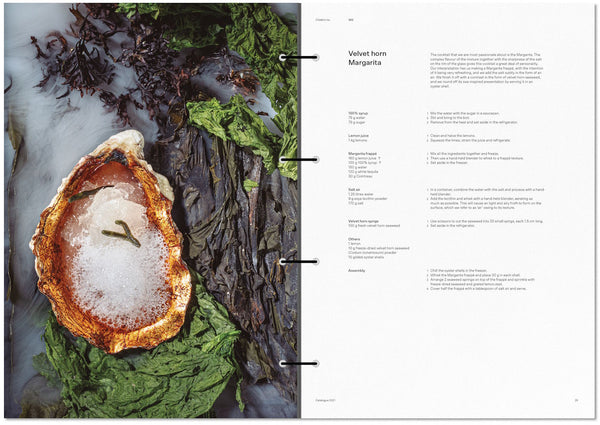 Disfrutar Volume 3 in Spanish