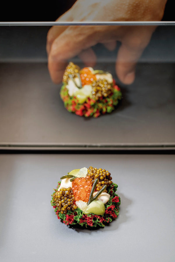 Disfrutar Volume 3 in Spanish