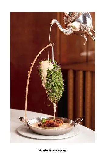 presentation image
