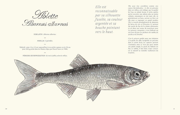 presentation image