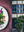 presentation image