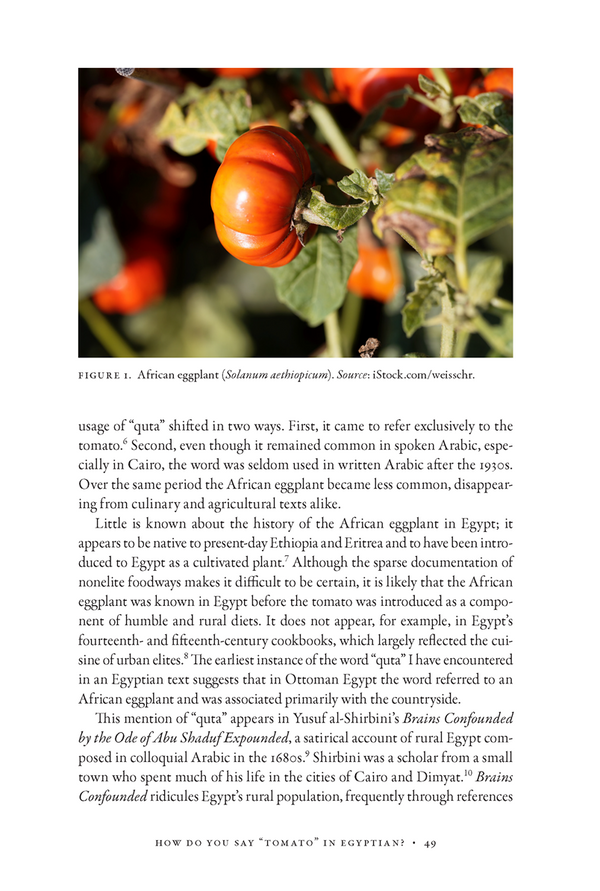 Nile Nightshade: An Egyptian Culinary History of the Tomato