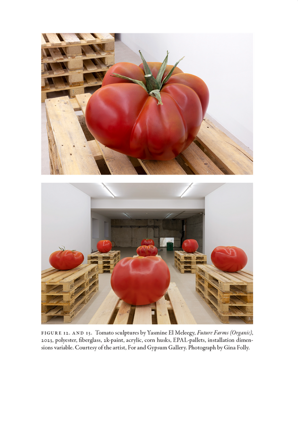 Nile Nightshade: An Egyptian Culinary History of the Tomato