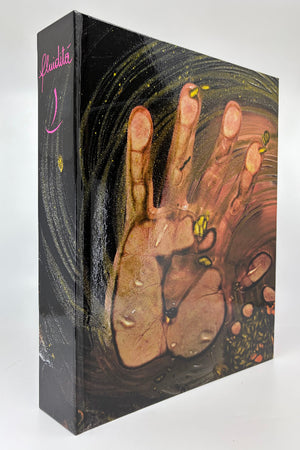 Book Cover: Fludidita