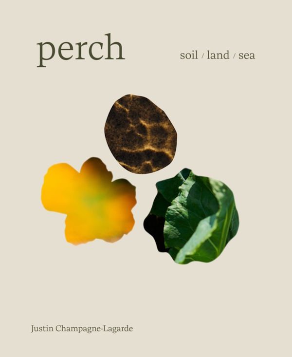 Book cover: Perch