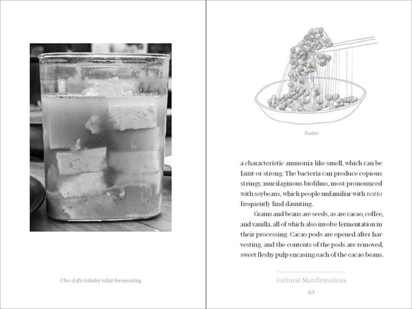 presentation image