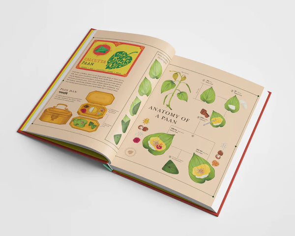 presentation image