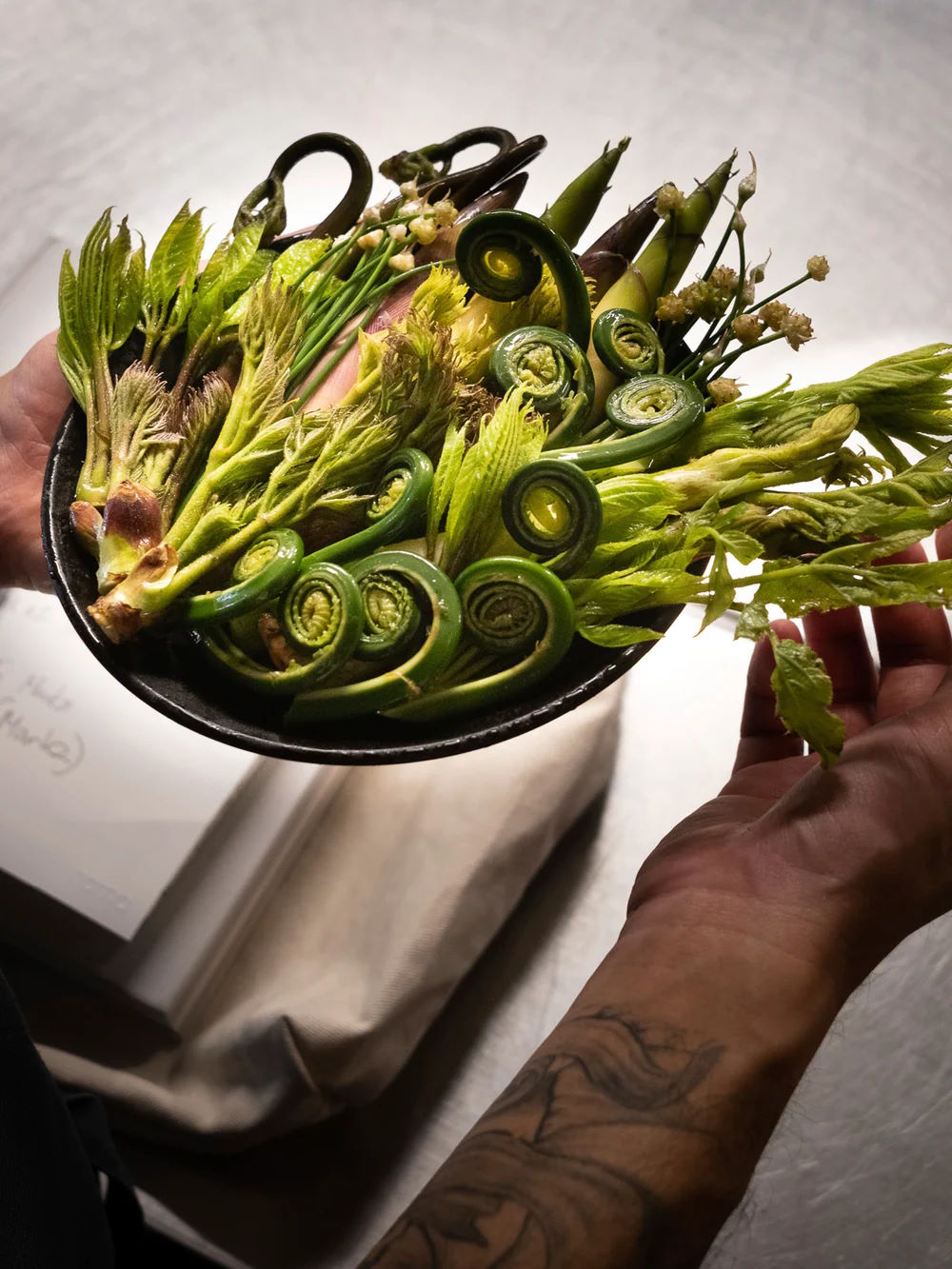 Noma in Kyoto Magazine | Kitchen Arts & Letters