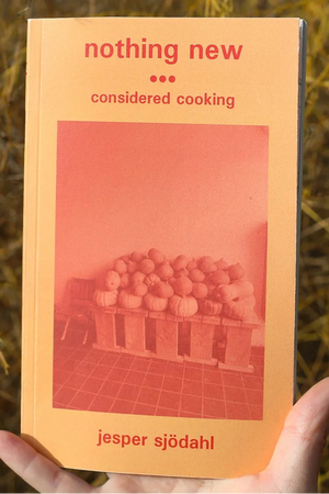 Book cover: Nothing New