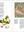 Presentation image