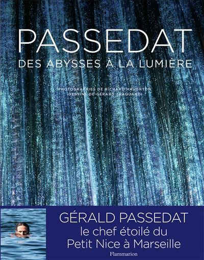 Book Cover: Passedat