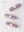 Signature Éclairs