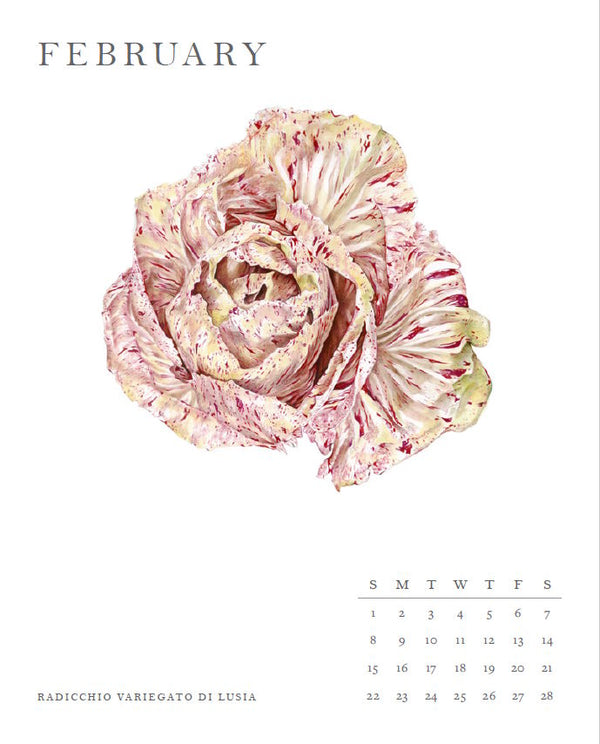 Calendar: 2026 Molly Reeder Illustrated Calendar