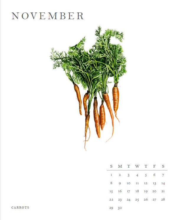 Calendar: 2026 Molly Reeder Illustrated Calendar