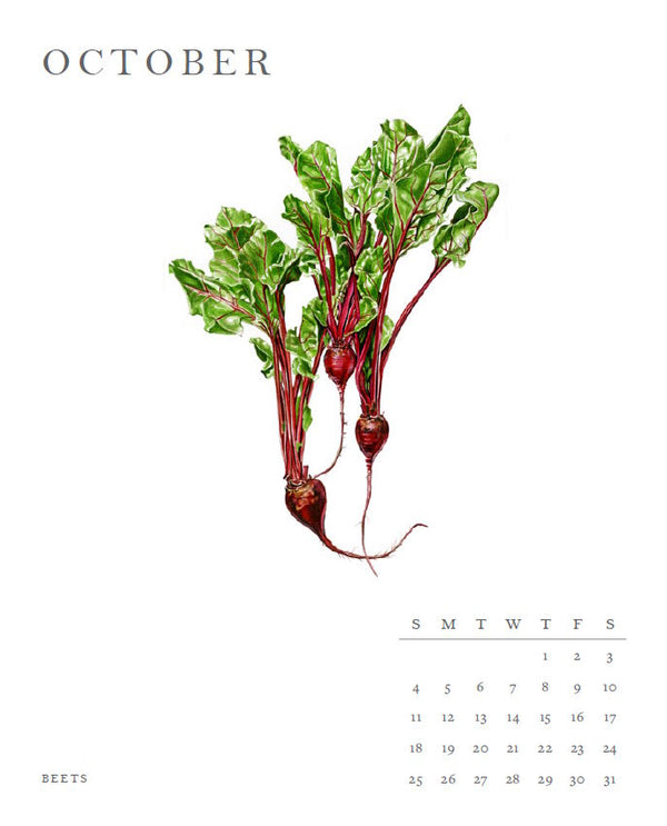 Calendar: 2026 Molly Reeder Illustrated Calendar