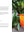 presentation image