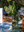 Presentation Image