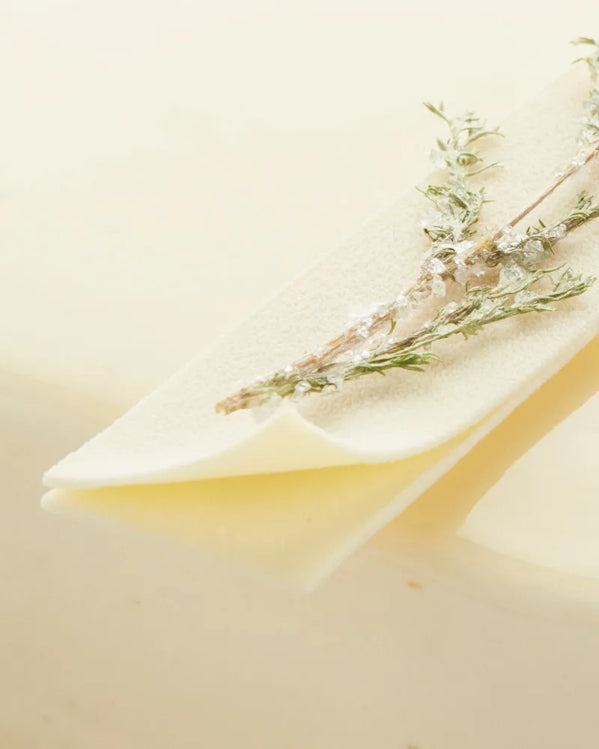 presentation image