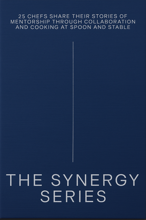 Book Cover: The Synergy Series