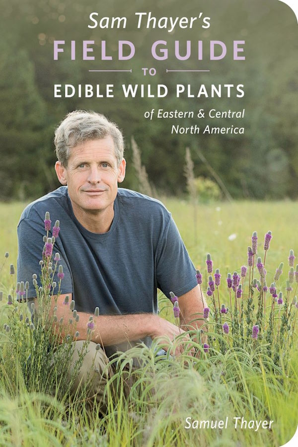 Book Cover: Sam Thayer's Field Guide to Edible Wild Plants of Easternn and Central North America