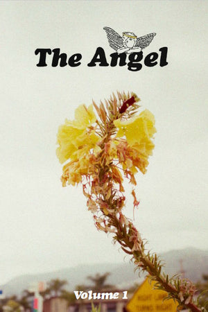 Magazine Cover: The Angel, Volume 1