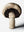 Book cover: The Gourmand's Mushroom