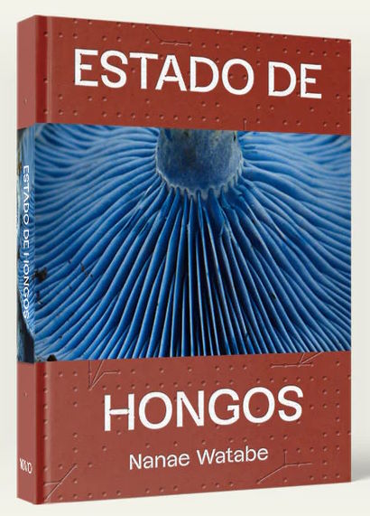 Book cover: Estado de Hongos