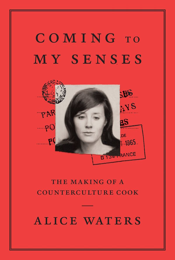 Book Cover Coming to My Senses