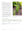 presentation image
