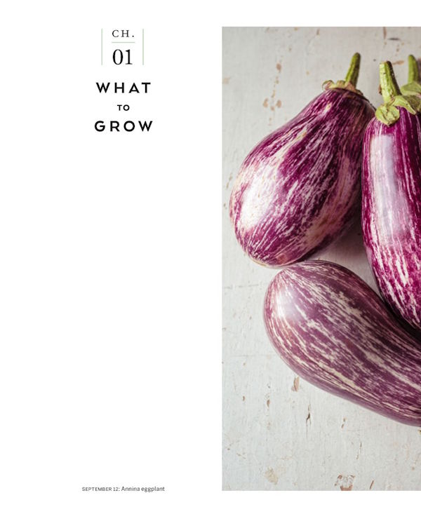 the cooks garden seeds The Cook's Garden: A Gardener's Guide to Selecting, Growing, and Savoring The Tastiest Vegetables of Each Season: A Cookbook