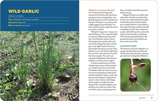 Wild Kitchen Foraging How to Forage for Wild Foods without Dying | Kitchen Arts & Letters